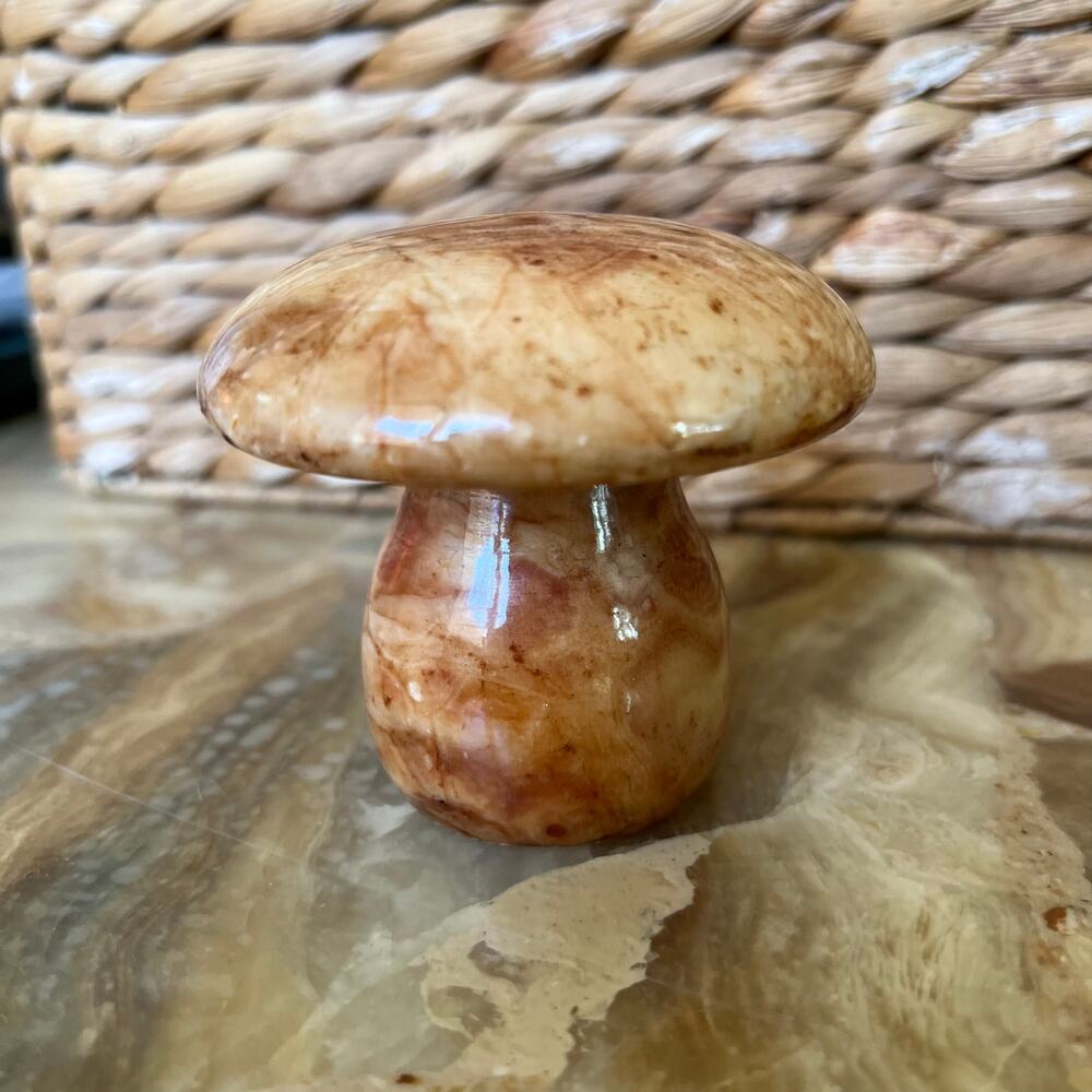 Mushroom Stone Paperweight